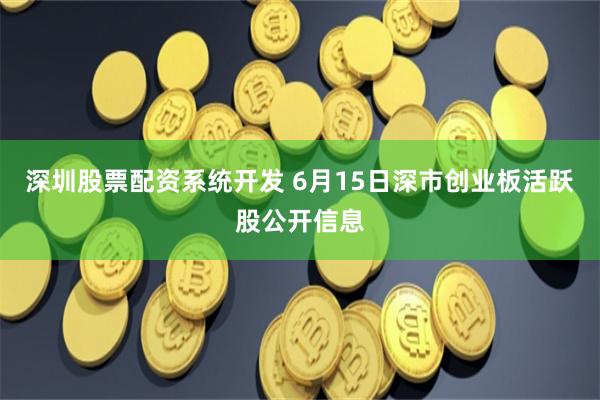 深圳股票配资系统开发 6月15日深市创业板活跃股公开信息